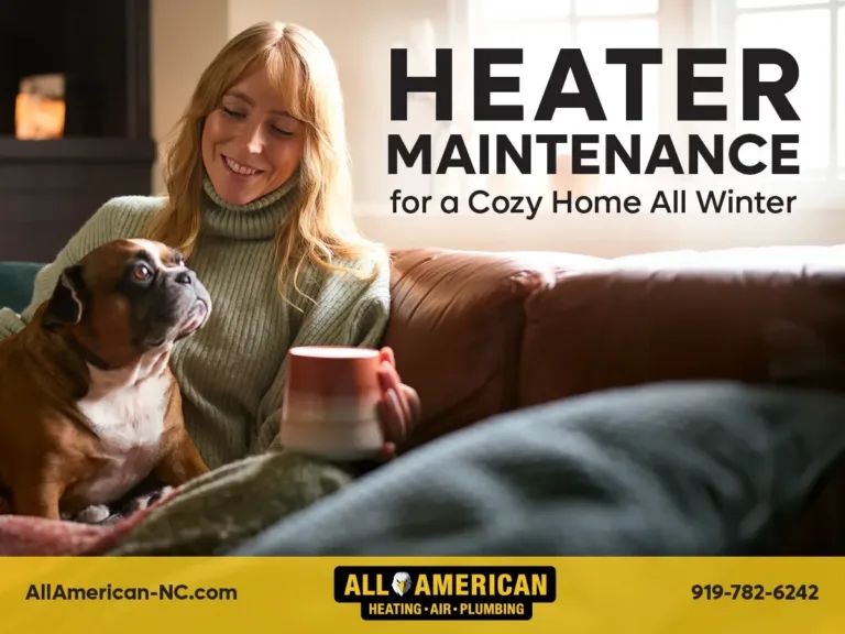 All American Heating, Air & Plumbing December 2024 blog graphic