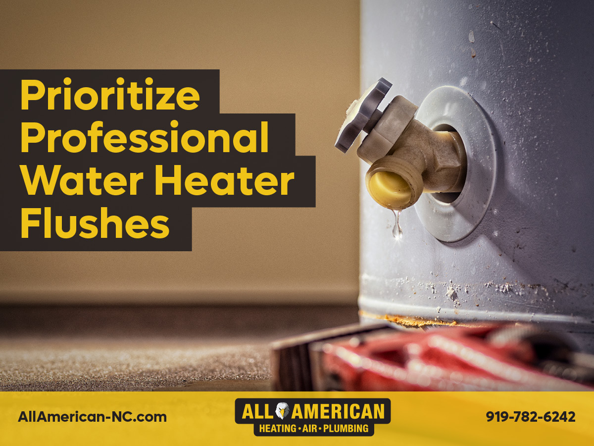 Why You Should Prioritize Professional Water Heater Flushes
