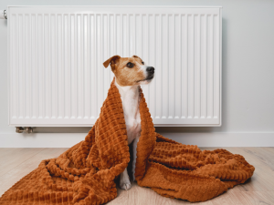 The Importance of Maintenance for Your Heating System This Fall