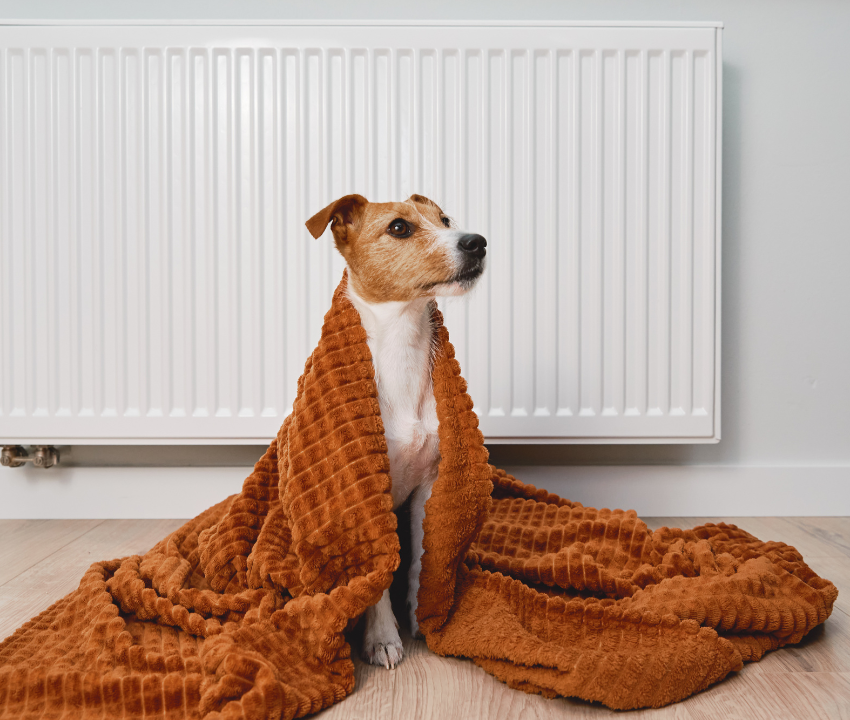 The Importance of Maintenance for Your Heating System This Fall